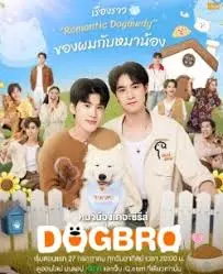 《恋爱汪汪汪》：萌宠助攻，甜蜜升级！一部让你少女心炸裂的爱情喜剧